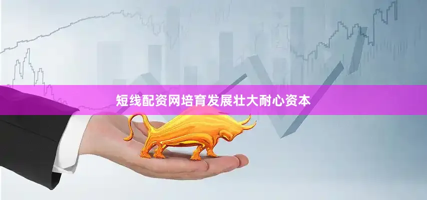 短线配资网培育发展壮大耐心资本