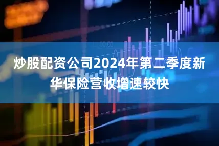 炒股配资公司2024年第二季度新华保险营收增速较快