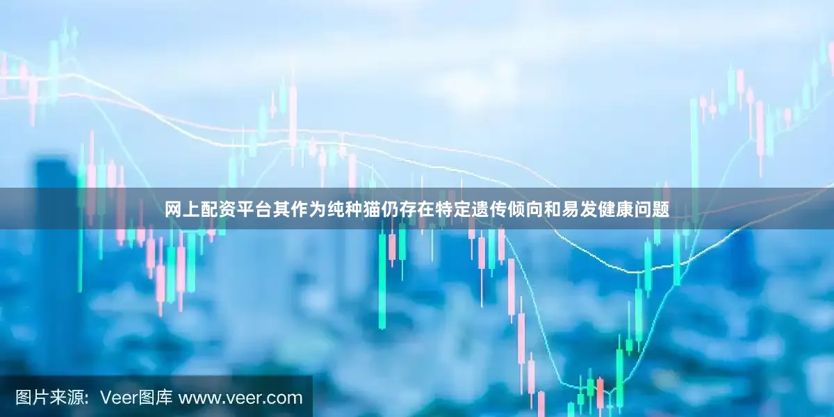 网上配资平台其作为纯种猫仍存在特定遗传倾向和易发健康问题