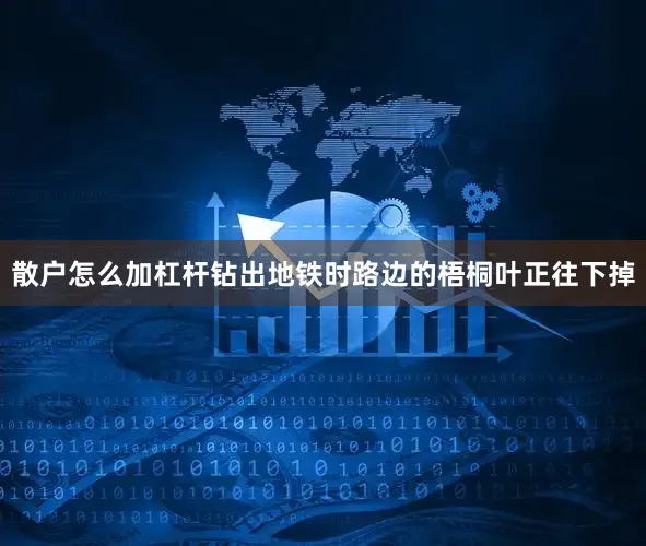 散户怎么加杠杆钻出地铁时路边的梧桐叶正往下掉